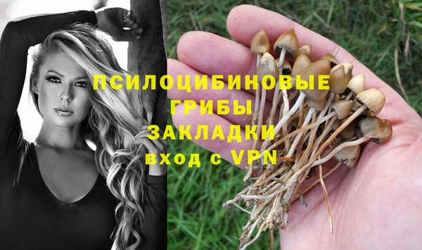 альфа пвп Бугульма