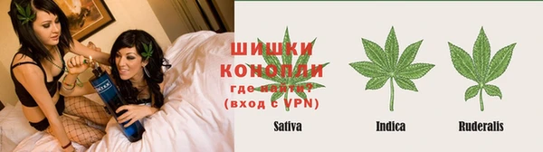 дурь Бронницы