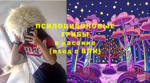 дурь Бронницы